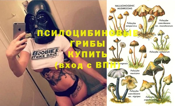 ECSTASY Богданович