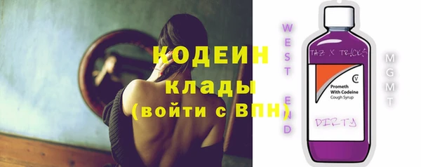 ECSTASY Богданович